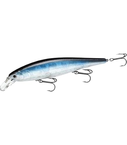 Amazon.co.jp: ラッキークラフト(LUCKY CRAFT)FAT CB BDS3 ~Big Daddy